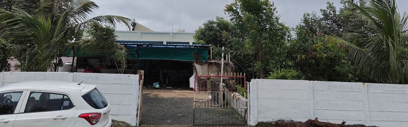 The entrance to Madhuvan Farm: an open gate set in a long white boundary wall, with the shaded shed and the yard behind it.