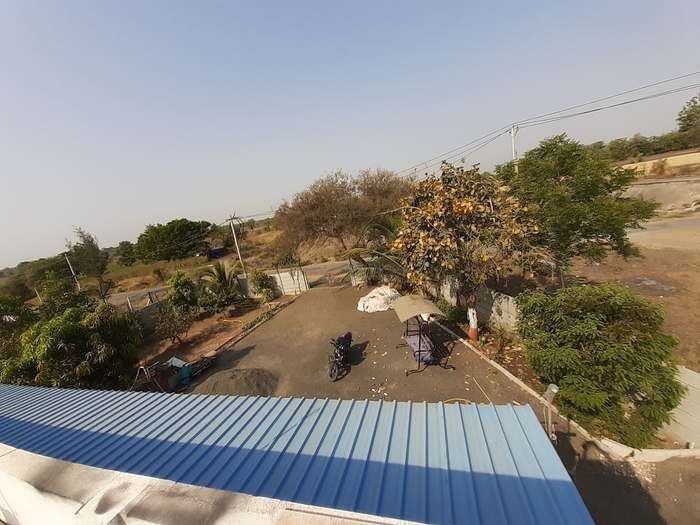 The farmyard seen from the roof, with mango trees along one side and the road beyond the wall.